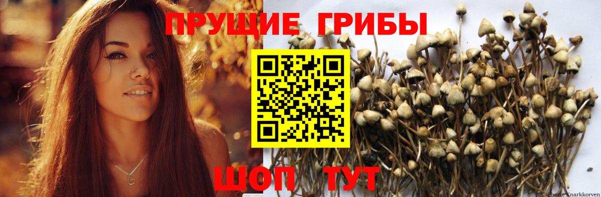 Галлюциногенные грибы мухоморы  Псилоцибиновые грибы Cubensis  Бузулук  Вход с VPN 