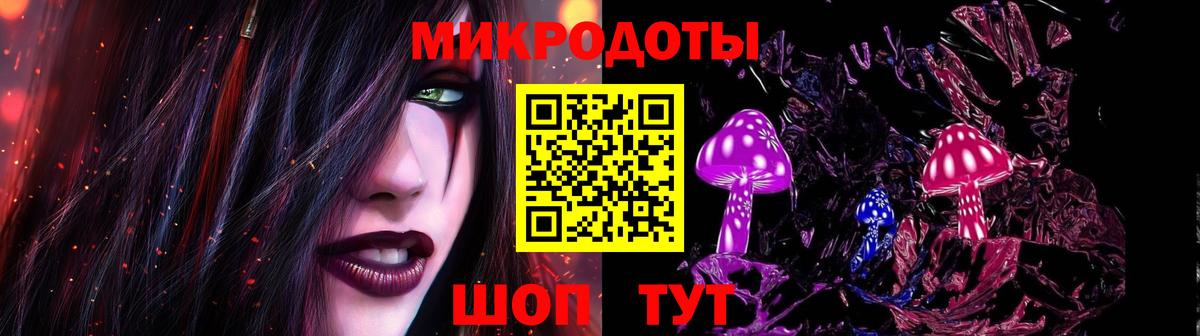 Галлюциногенные грибы Psilocybe Бузулук